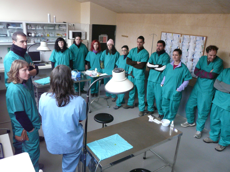 Explicación de los casos clínicos de la enfermería