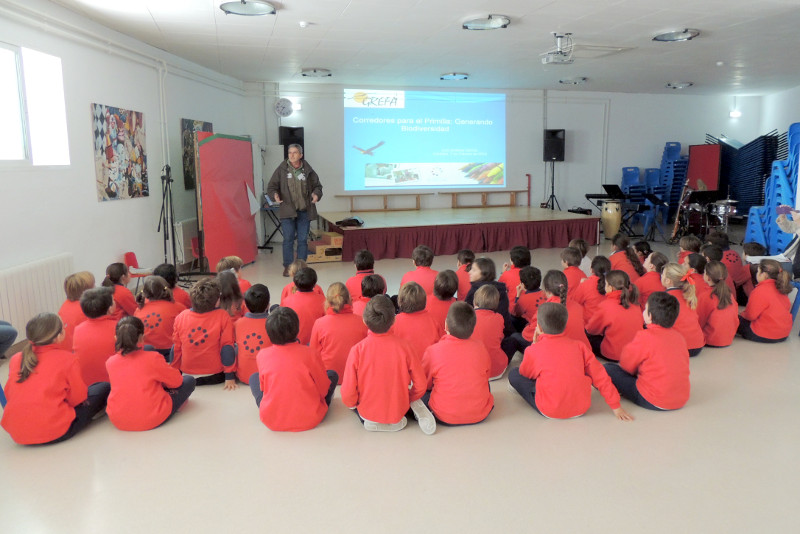 GREFA en el Colegio Británico de Córdoba