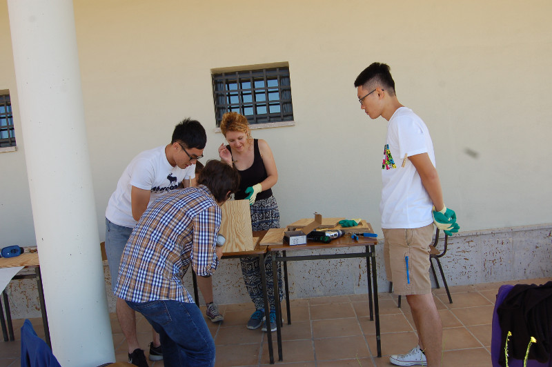 Participantes del campo de trabajo internacional construyendo una de las cajas del proyecto.