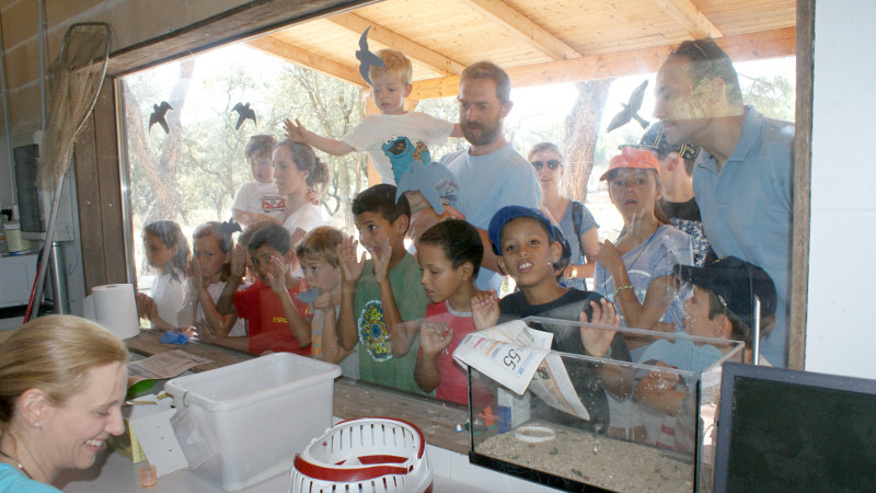 Visitando la nurseria de GREFA