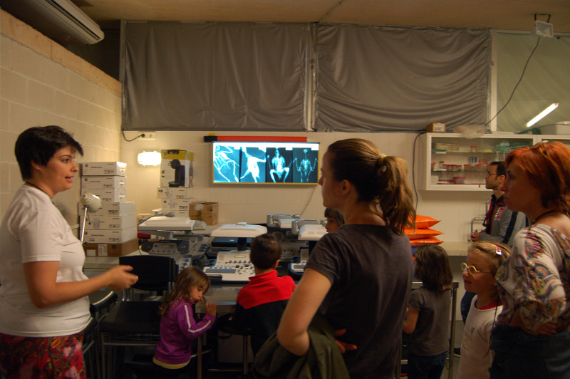 Visita al hospital de GREFA