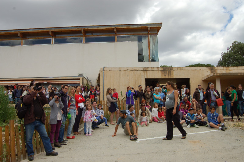 Momentos antes de la liberación de trers cernícalos vulgares