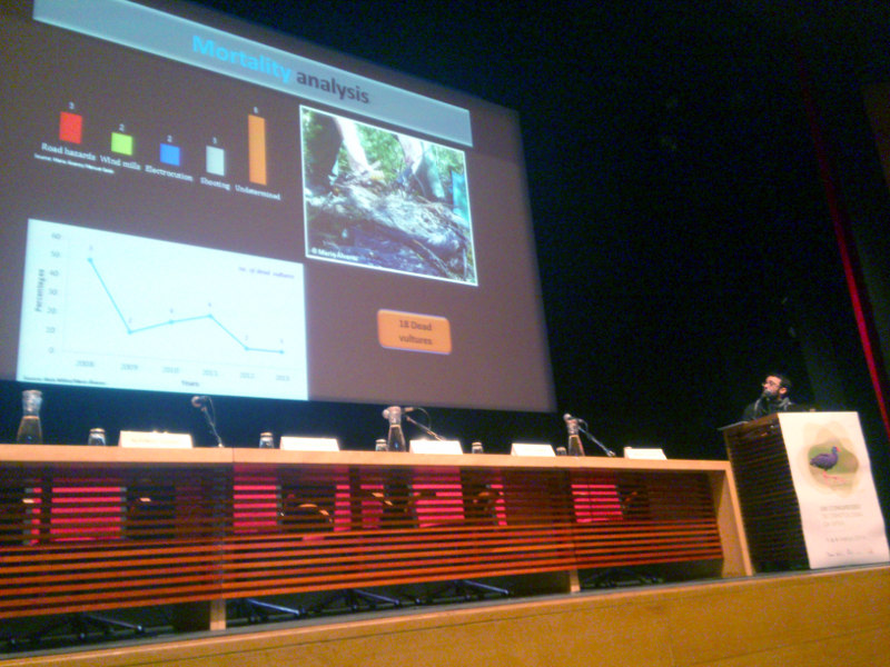 Manuel Galán presenta el proyecto de reintroducción del buitre negro en Pirineos