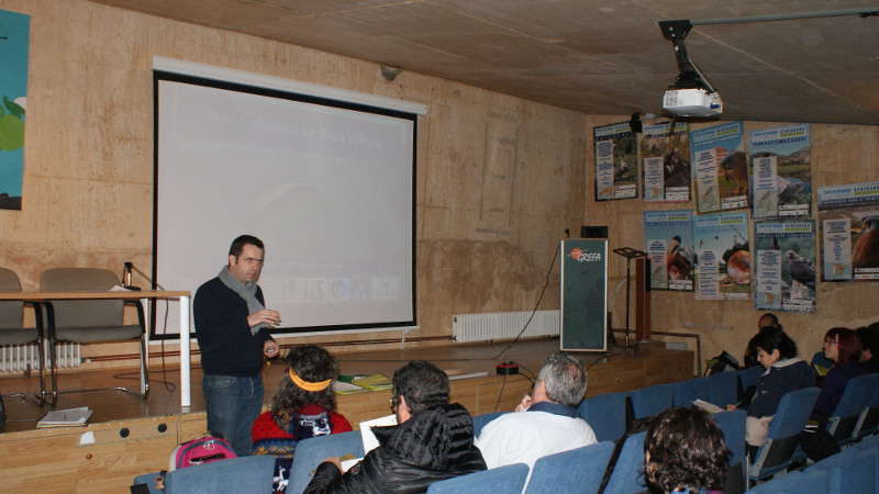 Raphael Néouze, LPO. Encuentro de coordinación de los proyectos de reintroducción del buitre negro en Europa