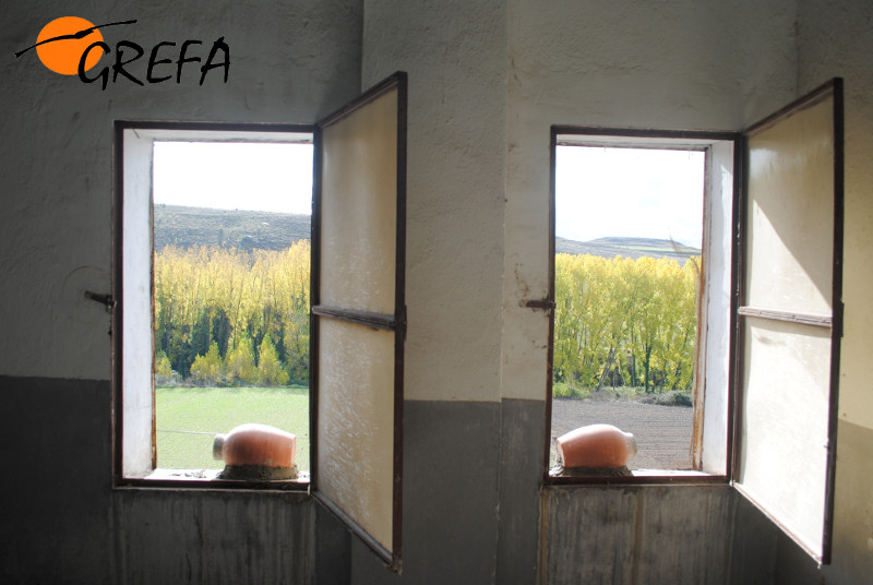 GREFA instala nidales para el primilla en el silo de Segovia