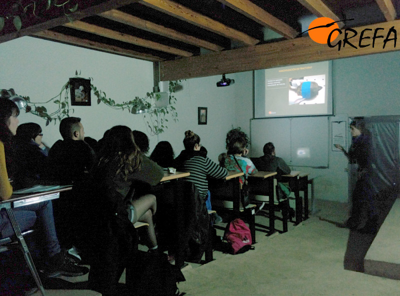 Comienza el nuevo ciclo de seminarios para voluntarios de GREFA