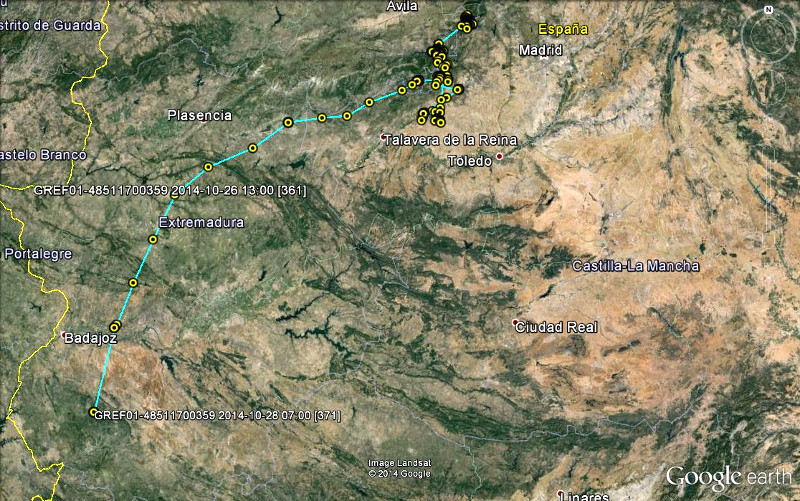 Os traemos nuevas noticias de nuestra culebrera tuerta, ya está por Badajoz… ¡Nuestra Culebrera coge carrera!