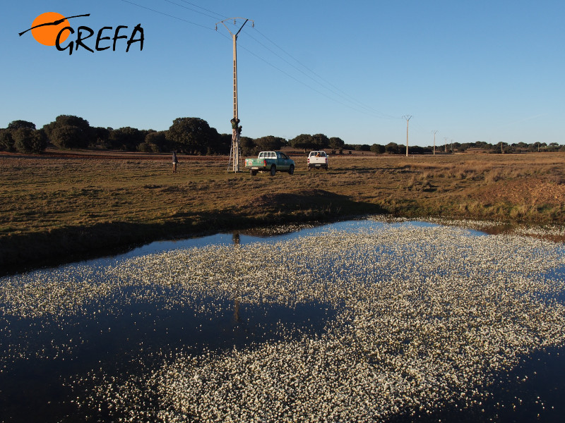 Panorámica de la zona de Almeida de Sayago (Zamora) donde se colocó el nidal