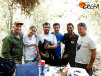 Parte del equipo que se trasladó al Valle de Alcudia, formado por Agentes Forestales de Castilla-La Mancha y personal de GREFA, del Grupo CLH y del Magrama, muestra uno de los buitres negros marcados.