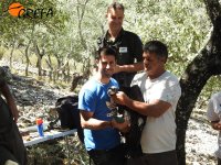 Parte del equipo que se trasladó al Valle de Alcudia, formado por Agentes Forestales de Castilla-La Mancha y personal de GREFA, del Grupo CLH y del Magrama, muestra uno de los buitres negros marcados.