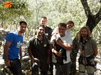 Parte del equipo que se trasladó al Valle de Alcudia, formado por Agentes Forestales de Castilla-La Mancha y personal de GREFA, del Grupo CLH y del Magrama, muestra uno de los buitres negros marcados.