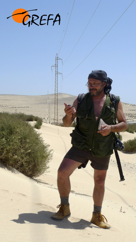 Atravesando  más de  250 kilómetros  de las áridas zonas de las dos islas orientales canarias registrando diversas variables como características del tendido, vegetación, suelo…..