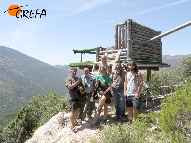 De izquierda a derecha, Ernesto Álvarez (presidente de GREFA), Modesto Llusà (Guarda Mayor de la Reserva de Boumort), Laura Suárez (veterinaria de GREFA), Émilie Delepoulle (especialista de GREFA), Jordi Palau (director de la Reserva de Boumort) y Gerard Plana (especialista de Trenca), con los dos buitres negros que van a ser introducidos en el hacking, visible detrás del grupo. 