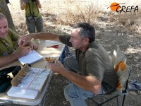 José y Manolo anillando una abubilla.15 años lleva funcionando  la estación de anillamiento de Naumanni en las lagunas del Porcal