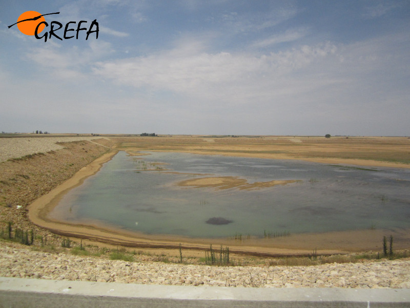 Vista de la balsa de riego en Villalón de Campos (Valladolid)