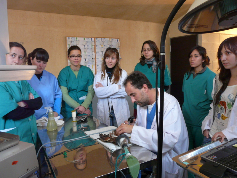 Hospital de Fauna Salvaje de GREFA