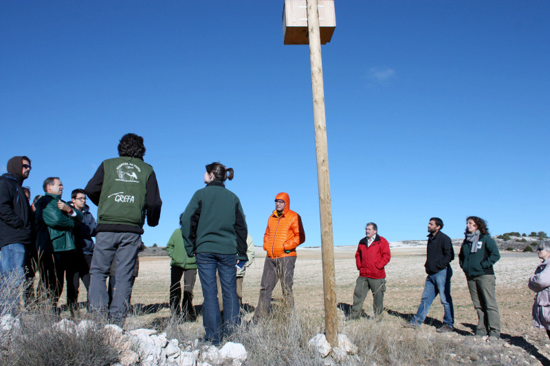 Asistentes a las Jornadas de Buenas Prácticas Agrarias en Montejo de la Vega (Segovia) junto a un nidal de cernícalo vulgar instalado para el control biológico de topillos.