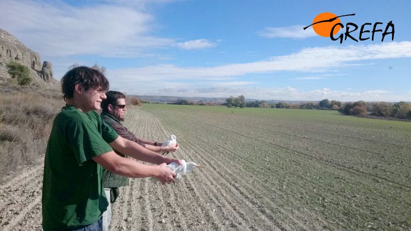 Salva y Javi con las garcillas