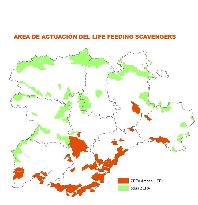 Área de actuación del LIFE Feeding Scavengers