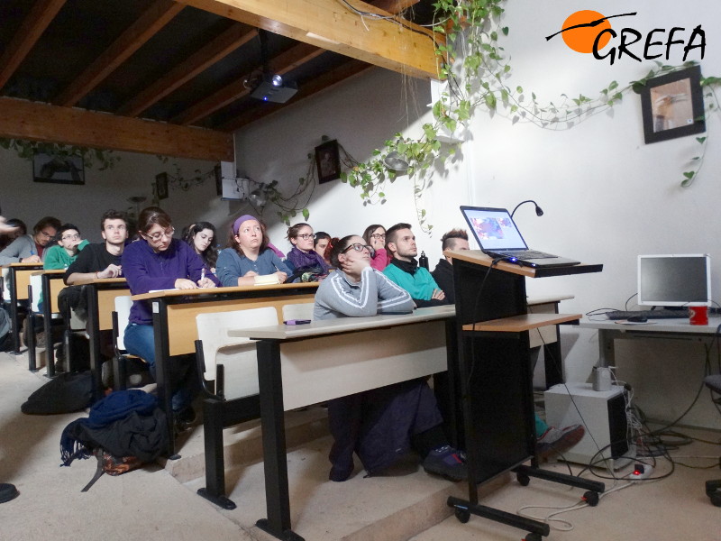 Participantes en uno de los seminarios (sobre necropsia en aves) organizados recientemente por GREFA.