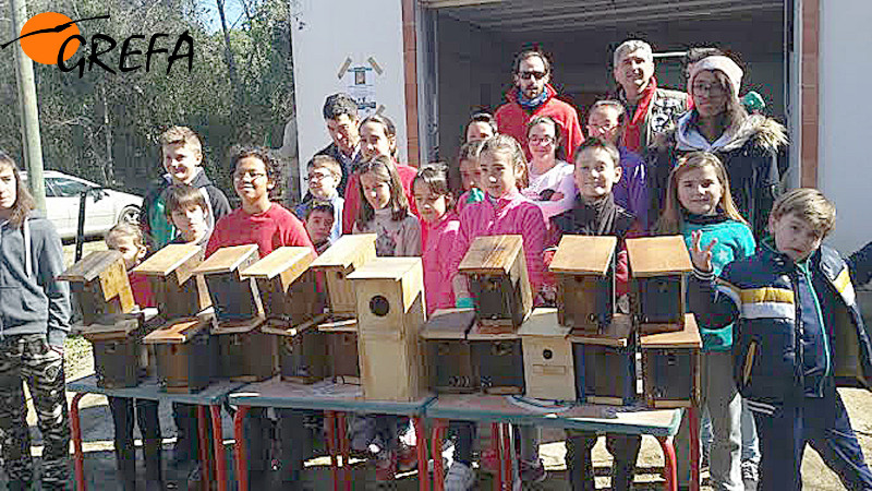 Diversos momentos del taller de construcción de cajas nido convocado por la asociación cordobesa "Siete Fincas".