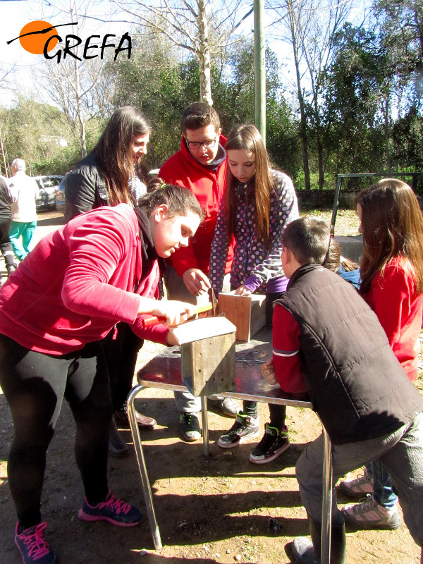 Diversos momentos del taller de construcción de cajas nido convocado por la asociación cordobesa "Siete Fincas".