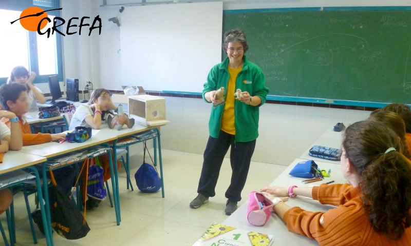 Monica, educadora de GREFA, durante la actividad sobre el cernícalo primilla