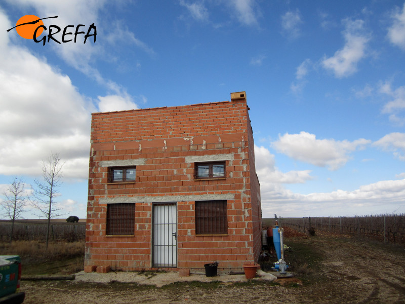 En la parte superior de esta caseta de labor de San Cristóbal de la Vega (Segovia) hemos instalado una caja nido para lechuza.