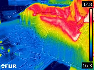 Lesiones características de un animal víctima de electrocución.