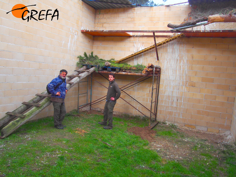 Los constructores posan junto al nuevo nido