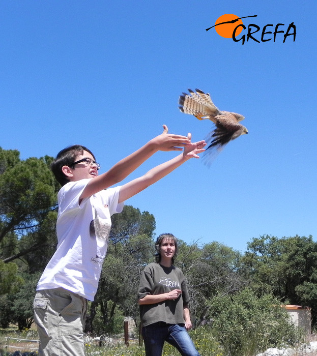 Campaña de apadrinamiento