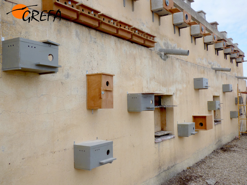 En las fotografías, diferentes momentos de los recientes trabajos de colocación de nidales para el cernícalo primilla en el silo de Baena (Córdoba).