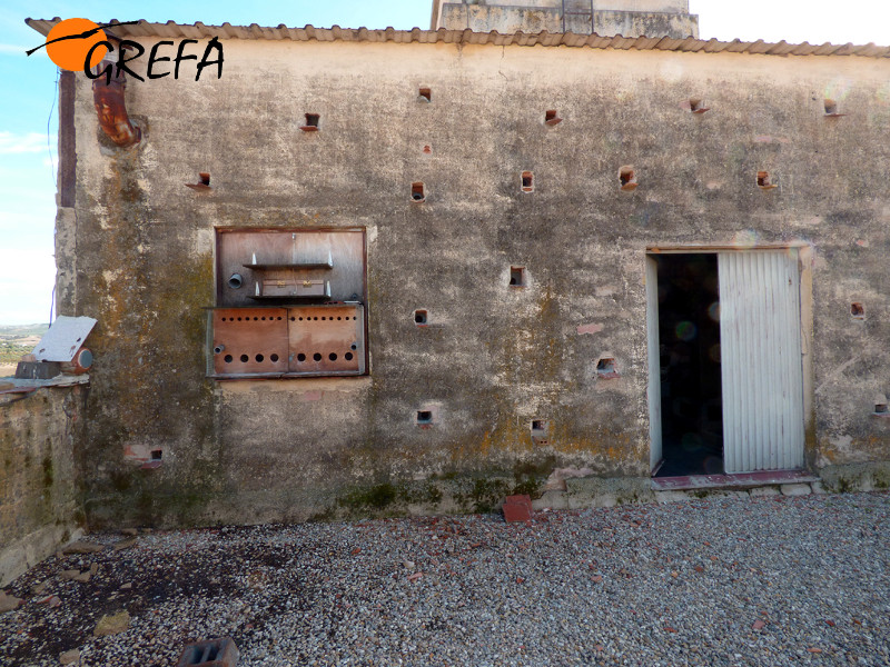 En las fotografías, diferentes momentos de los recientes trabajos de colocación de nidales para el cernícalo primilla en el silo de Baena (Córdoba).