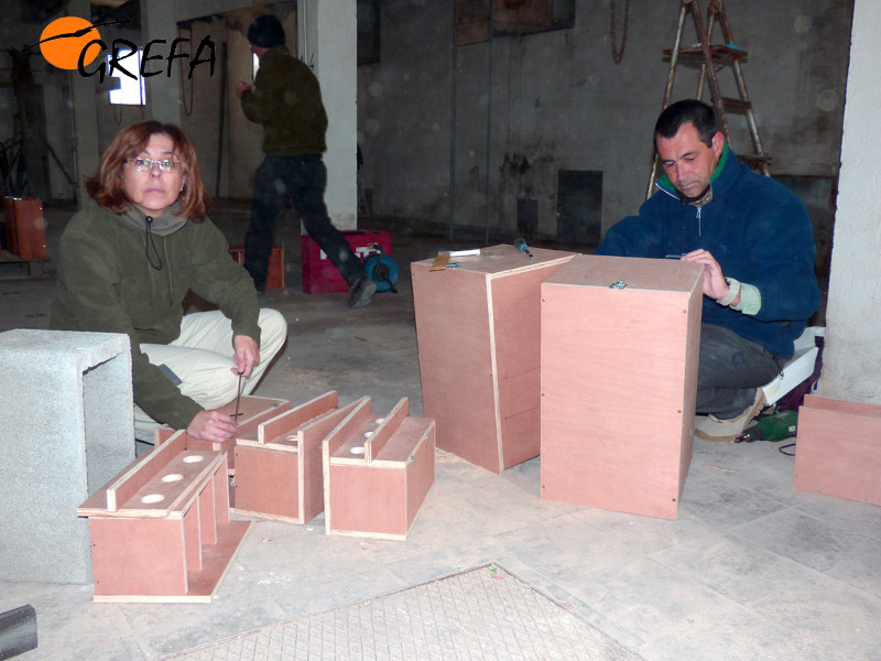 En las fotografías, diferentes momentos de los recientes trabajos de colocación de nidales para el cernícalo primilla en el silo de Baena (Córdoba).