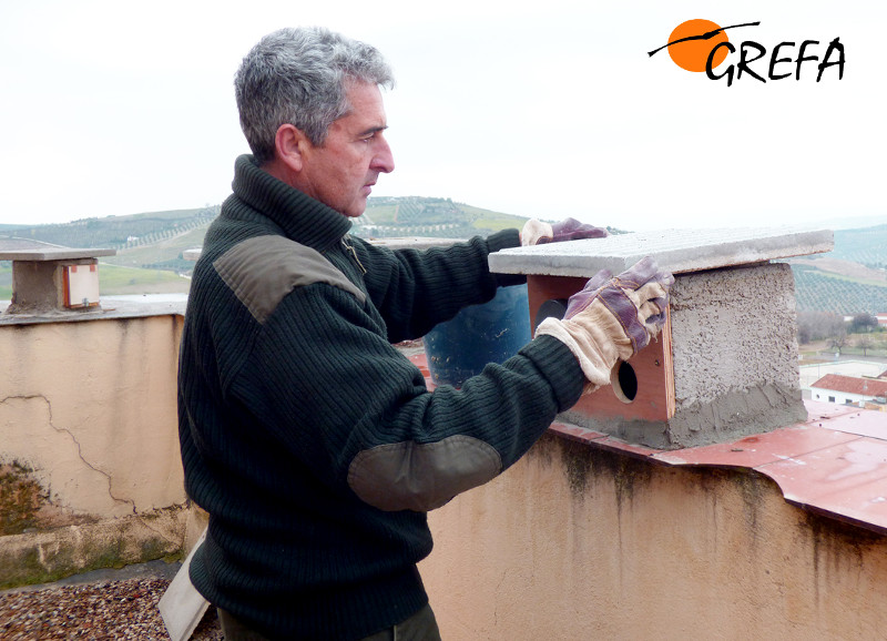 En las fotografías, diferentes momentos de los recientes trabajos de colocación de nidales para el cernícalo primilla en el silo de Baena (Córdoba).