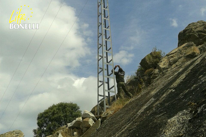 Agentes Forestales de la Comarca XI de la Comunidad de Madrid, durante los trabajos de caracterización de apoyos peligrosos para el águila de Bonelli en la Comunidad de Madrid.