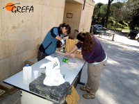 Nuestras colaboradoras construyen una caja nido para rapaces depredadoras de topillos.