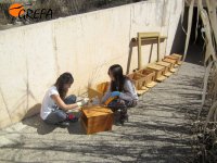 Voluntarias de GREFA barnizan una caja nido para rapaces depredadoras de topillos.