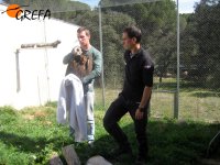 Uno de los agentes aprende a sujetar un buitre negro