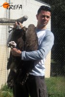 Uno de los agentes sujeta un ejemplar de buitre negro