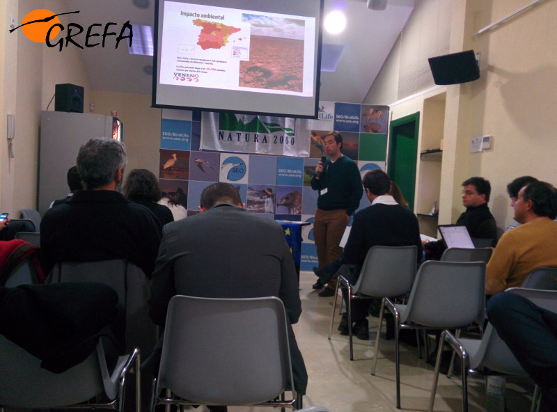 David de la Bodega, SEO/Birdlife