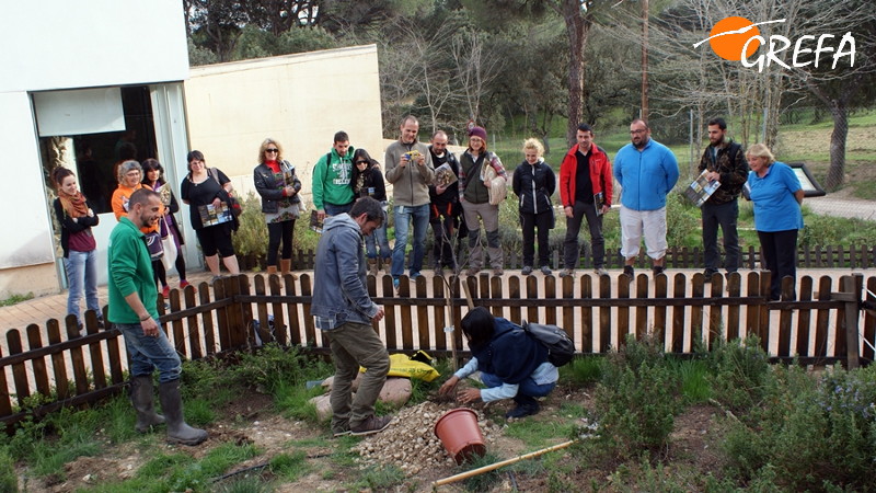 Momento de la plantación de una higuera