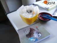 Polluelo en el momento de la ceba