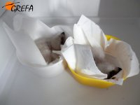 Los dos hermanos después de la ceba