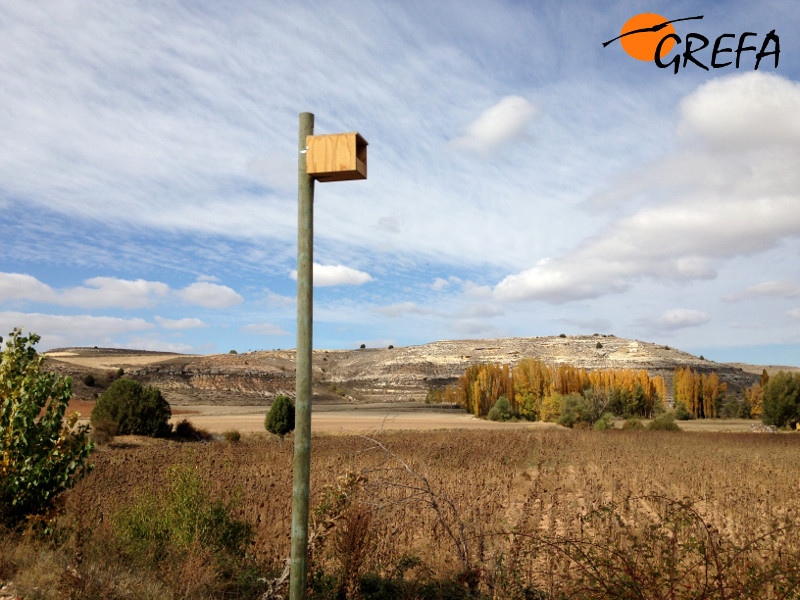 Uno de los nidales del proyecto de control biológico de topillo, ya colocado, con el fondo de parameras y sotos fluviales típico del entorno del Refugio de Rapaces de Montejo.