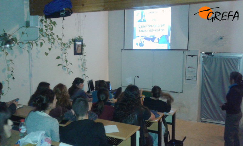 Asistentes a la sesión formativa sobre laserterapia.