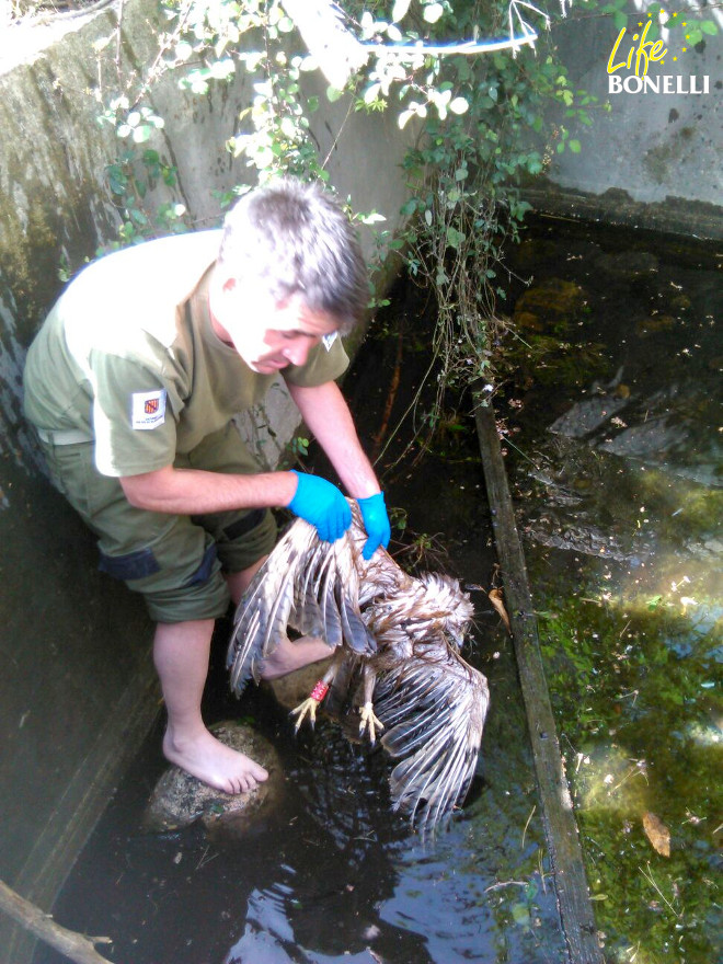 Momento de la recuperación del cadáver de "Era de Ronda" en el estanque.