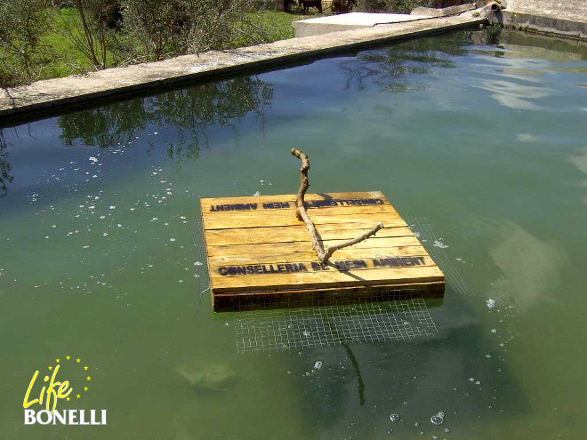 Plataforma flotante instalada en una balsa de riego de Mallorca para evitar el riesgo de ahogamiento de rapaces.