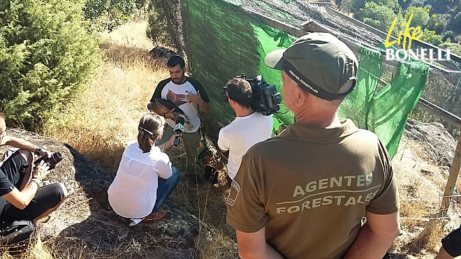 Un Agente Forestal de la Comunidad de Madrid observa la grabación del reportaje de Telemadrid.