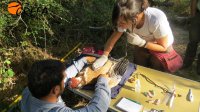 Chequeo veterinario de 'Aulencia', antes de proceder a su marcaje.